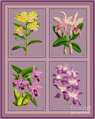 Retro Pop Culture Patterns - Orchids Quatro Collage by Baptiste Posters