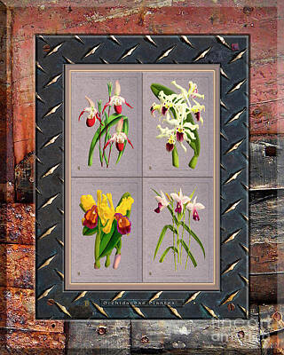 Unicorn Dust - Orchids Antique Quadro Weathered Plank Rusty Metal by Baptiste Posters