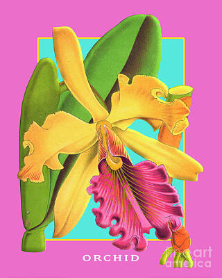 Kitchen Food And Drink Signs - Vintage Orchid Exotic Flower Plant by Baptiste Posters