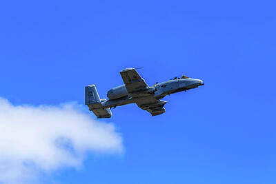 Game Of Thrones Rights Managed Images - A-10C Thunderbolt II in Flight Royalty-Free Image by Doug Camara