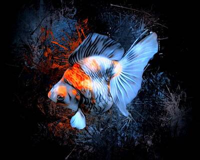 The Who - A Glowing Ryukin Goldfish Portrait by Scott Wallace Digital Designs