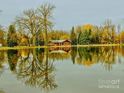 Graphic Trees Royalty Free Images - A Lake in Barnesville, Minnesota Royalty-Free Image by Curtis Tilleraas
