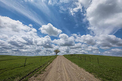 Scott Bean Rights Managed Images - A Perfect Spring Morning Royalty-Free Image by Scott Bean