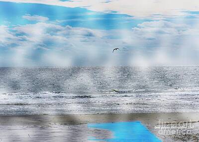 Abstract Landscape Photos - A Southern Soar by Tami Quigley