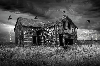 Mother And Child Animals - Abandoned Farm House in a Thunder Storm with Black Crows in Black and White by Randall Nyhof