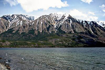Lets Be Frank - Alaskan Landscape 137 by John Hughes
