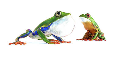 Animals Digital Art Rights Managed Images - Amazon Frog Friends Royalty-Free Image by Betsy Knapp
