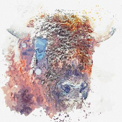Landmarks Royalty-Free and Rights-Managed Images - American Bison -  watercolor by Adam Asar by Celestial Images