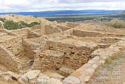 Modern Man Mid Century Modern - Ancient Ruins of New Mexico 3 by Tonya Hance