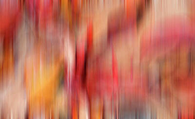 Abstract Photos - Autumn Colour Red by Kevin Round