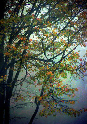 Book Quotes - Autumn Fog by Jaeda DeWalt