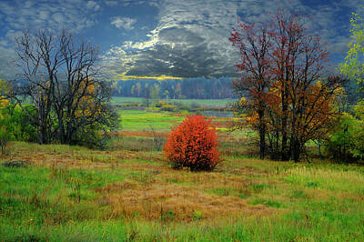 Stunning 1x - Autumn landscape by Yuri Karminsky