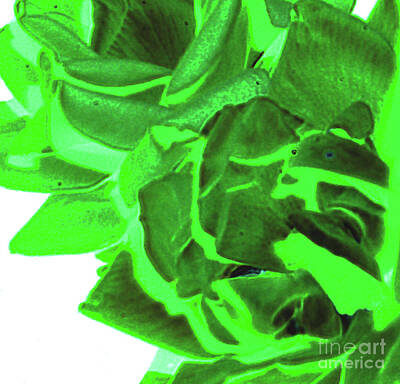 Abstract Flowers Digital Art - Azure Green by JamieLynn Warber