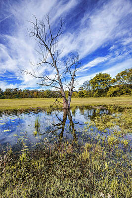 Royalty-Free and Rights-Managed Images - Barren Reflections - Rural Oklahoma Landscape by Gregory Ballos