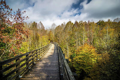 Parks - Beautiful Autumn Scenery Along Viginia Creeper Trail West Virgin by Alex Grichenko
