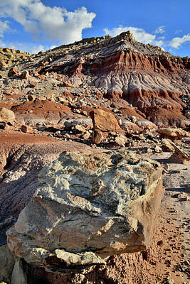 Printscapes - Beautiful San Rafael Desert Dunes by Ray Mathis
