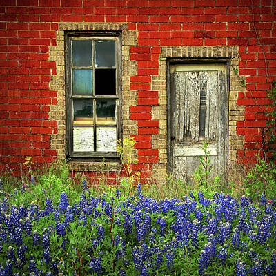 Floral Photos - Beauty and the Door SQUARE - Texas Bluebonnets wildflowers landscape door flowers by Jon Holiday