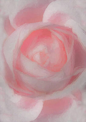 Roses Digital Art - Beauty of Pink by Ernest Echols