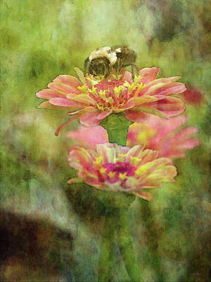 Beach Days Royalty Free Images - Bee on Zinnia 4243 IDP_2 Royalty-Free Image by Steven Ward