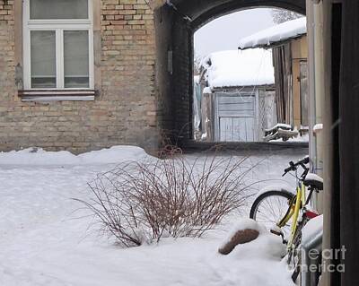 Frank Sinatra - Bicycle in Vilnius winter by Art By Margaret