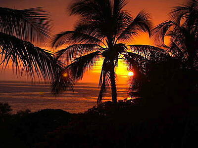 Prescription Medicine - Big Island Sunset by George Hite