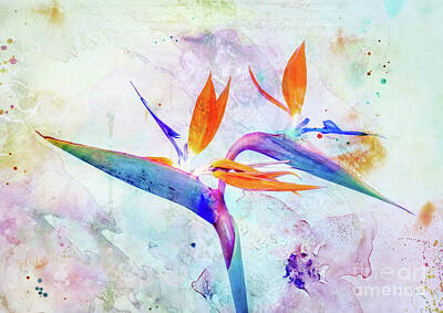 Mixed Media Royalty Free Images - Bird of Paradise Flower Royalty-Free Image by Jacky Gerritsen