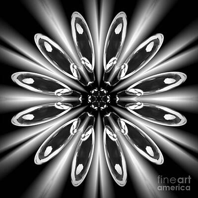 Wild And Wacky Portraits Rights Managed Images - Black and White Flower Mandala  Royalty-Free Image by Rachel Hannah