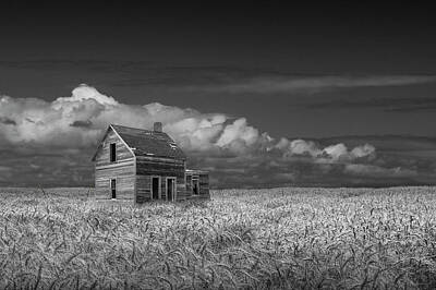 Randall Nyhof Royalty-Free and Rights-Managed Images - Black and White of an Old Abandoned Prairie Farm House in a Whea by Randall Nyhof