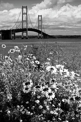 Floral Rights Managed Images - Black and White of Blooming Flowers by the Bridge at the Straits Royalty-Free Image by Randall Nyhof