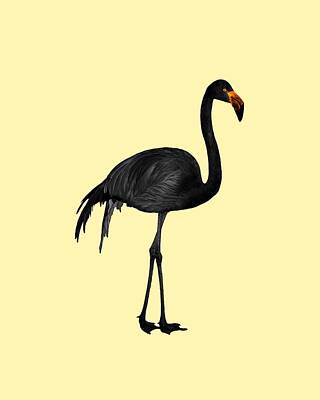 Royalty-Free and Rights-Managed Images - Black Flamingo 1 - Tropical Wall Decor - Flamingo Posters - Exotic Birds - Black, Modern, Minimal  by Studio Grafiikka
