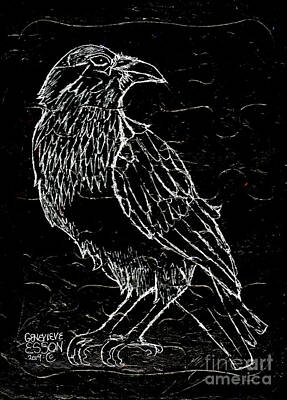 Birds Drawings Rights Managed Images - Black Raven Royalty-Free Image by Genevieve Esson