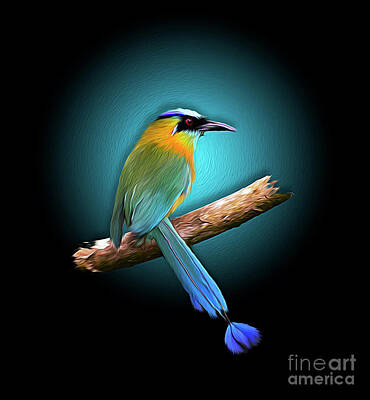 Guitar Patents - Blue-Crowned MotMot In Costa Rica by Paul Gerace