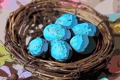 United States Map Designs - Blue Eggs In Nest 15 by Cathy Lindsey