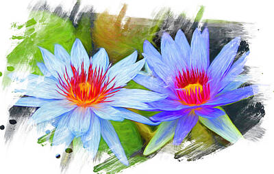 Lilies Rights Managed Images - Blue Water Lilies Painted 2 Royalty-Free Image by Judy Vincent