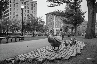 Recently Sold - Birds Photos - Boston Public Garden and Make Way For Ducklings Statues in Monochrome by Gregory Ballos