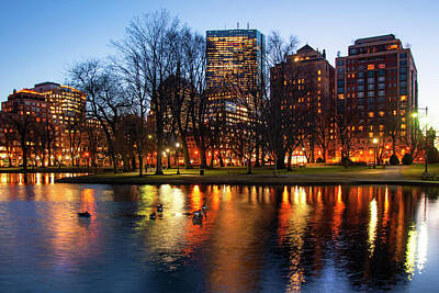 City Lights - Boston Reflections - Public Garden by Joann Vitali