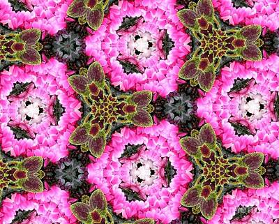 Abstract Flowers Photos - Bougainvillea Flowers and Coleus Kaleidoscope Abstract by Rose Santuci-Sofranko