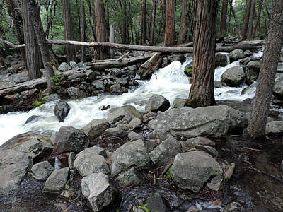 Mountain Royalty Free Images - Bridalveil Creek 12 Royalty-Free Image by Eric Forster