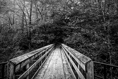 Tool Paintings - Bridge To Moore Cove Falls Black and White by Judy Vincent