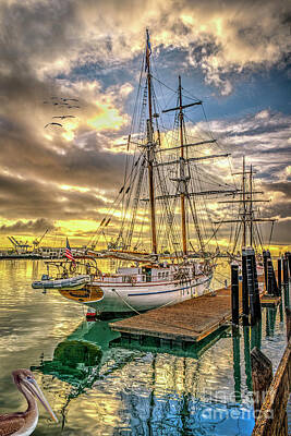 Go For Gold Rights Managed Images - Brigantine Tall Ship Schooner Royalty-Free Image by David Zanzinger