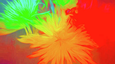 Abstract Flowers Digital Art - Brilliant Flowers in Abstract  by Cathy Anderson