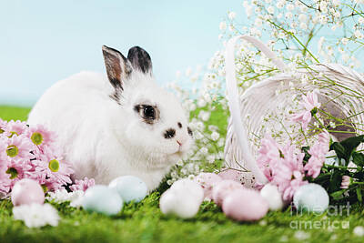Recently Sold - Animals Photo Royalty Free Images - Bunny and Easter decorations on spring background. Royalty-Free Image by Michal Bednarek