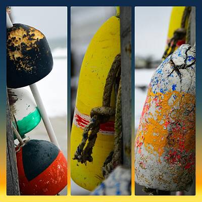 Cabin Signs Royalty Free Images - Buoy Collage Royalty-Free Image by Catherine Reusch Daley