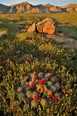 Watercolor City Skylines - Cacti Garden at Sunset in Book Cliffs by Ray Mathis