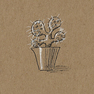 Floral Drawings - Cactus 1 by Masha Batkova
