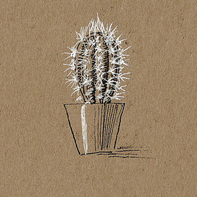 Floral Drawings - Cactus 2 by Masha Batkova