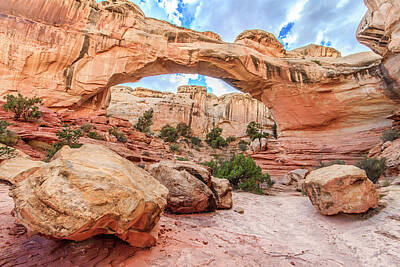 Spiral Staircases - Capitol Reef 5 by The Ecotone
