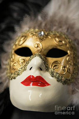 Staff Picks Judy Bernier - Carnevale  Mask by David Zanzinger