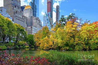 Studio Grafika Typography Royalty Free Images - Central Park Autumn Color Bonanza Royalty-Free Image by Regina Geoghan