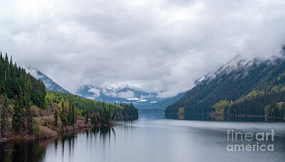 Hipster Animals - Cheakamus lake - British Columbia, Canada by Ulysse Pixel